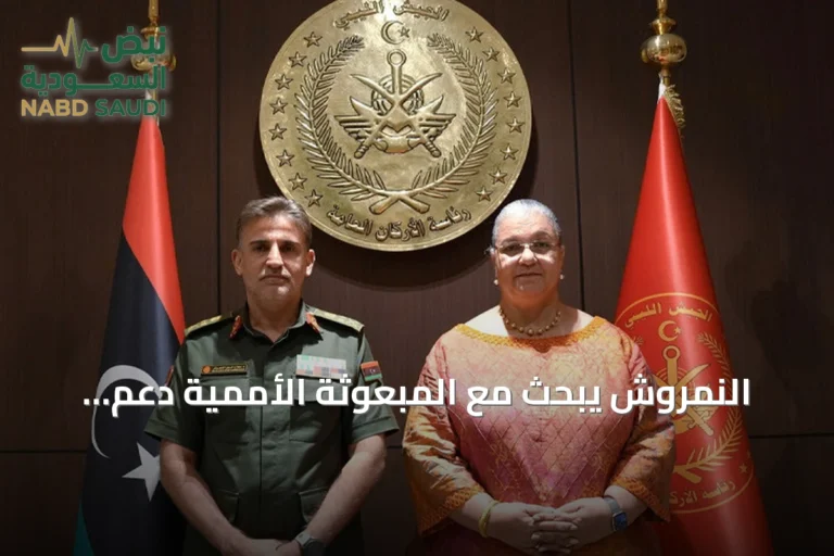 النمروش يبحث مع المبعوثة الأممية دعم توحيد الجيش الليبي