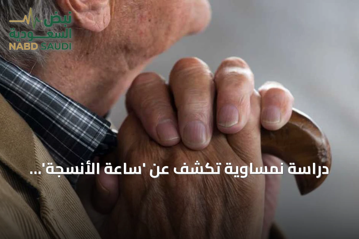دراسة نمساوية تكشف عن 'ساعة الأنسجة' لتقدير عمر الأعضاء البيولوجي عبر الذكاء الاصطناعي