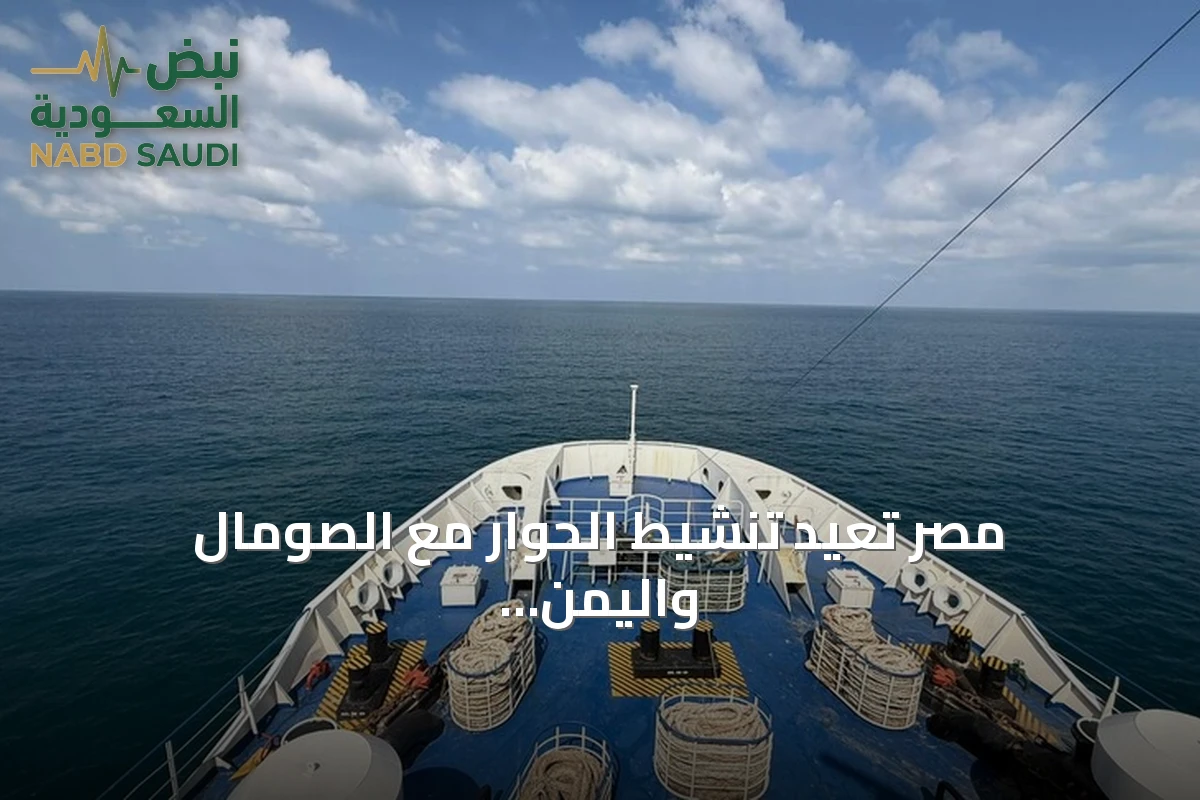مصر تعيد تنشيط الحوار مع الصومال واليمن لتسريع إطلاق سراح البحارة المختطفين
