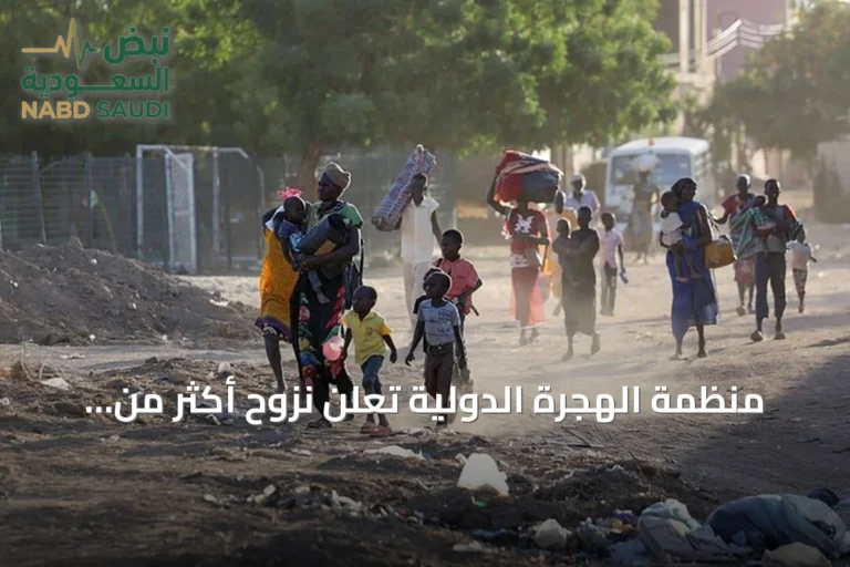 منظمة الهجرة الدولية تُعلن نزوح أكثر من تسعة آلاف شخص من جنوب كردفان والنيل الأزرق بسبب تدهور الأمن