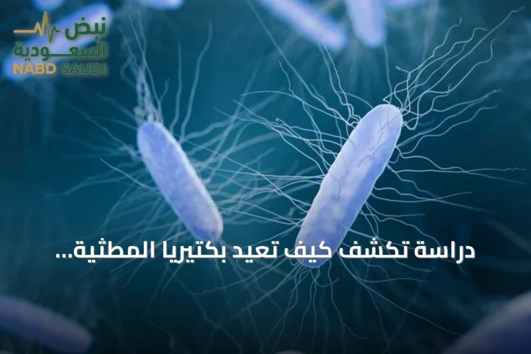 دراسة تكشف كيف تعيد بكتيريا المطثية العسيرة تشكيل أمعاء الرضع دون أعراض