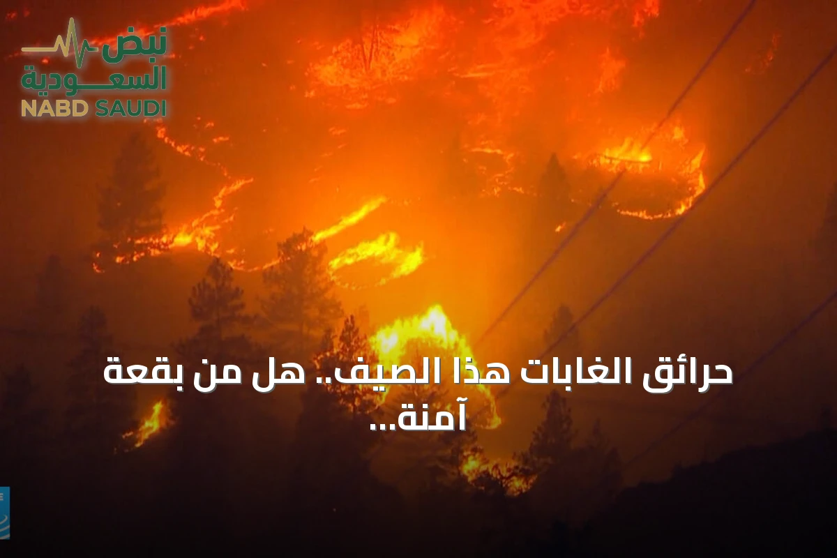 حرائق الغابات هذا الصيف.. هل من بقعة آمنة من النيران؟