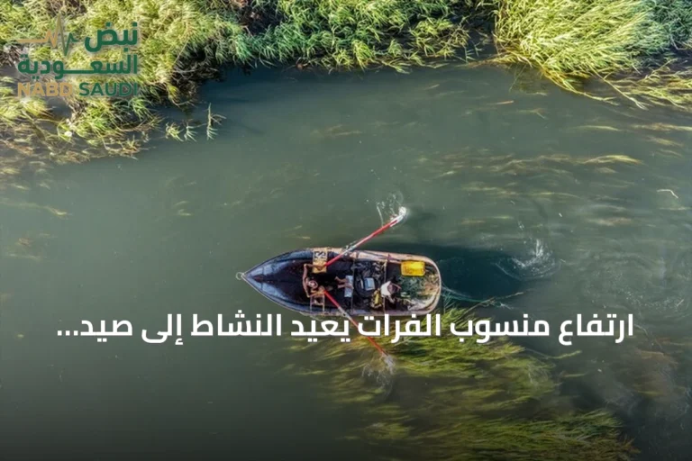ارتفاع منسوب الفرات يعيد النشاط إلى صيد الأسماك وسوقها في الرقة