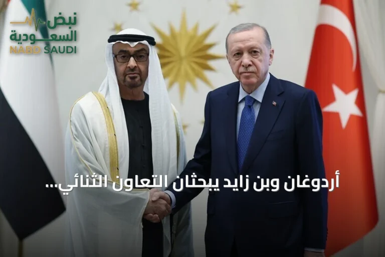 أردوغان وبن زايد يبحثان التعاون الثنائي والقضايا الإقليمية