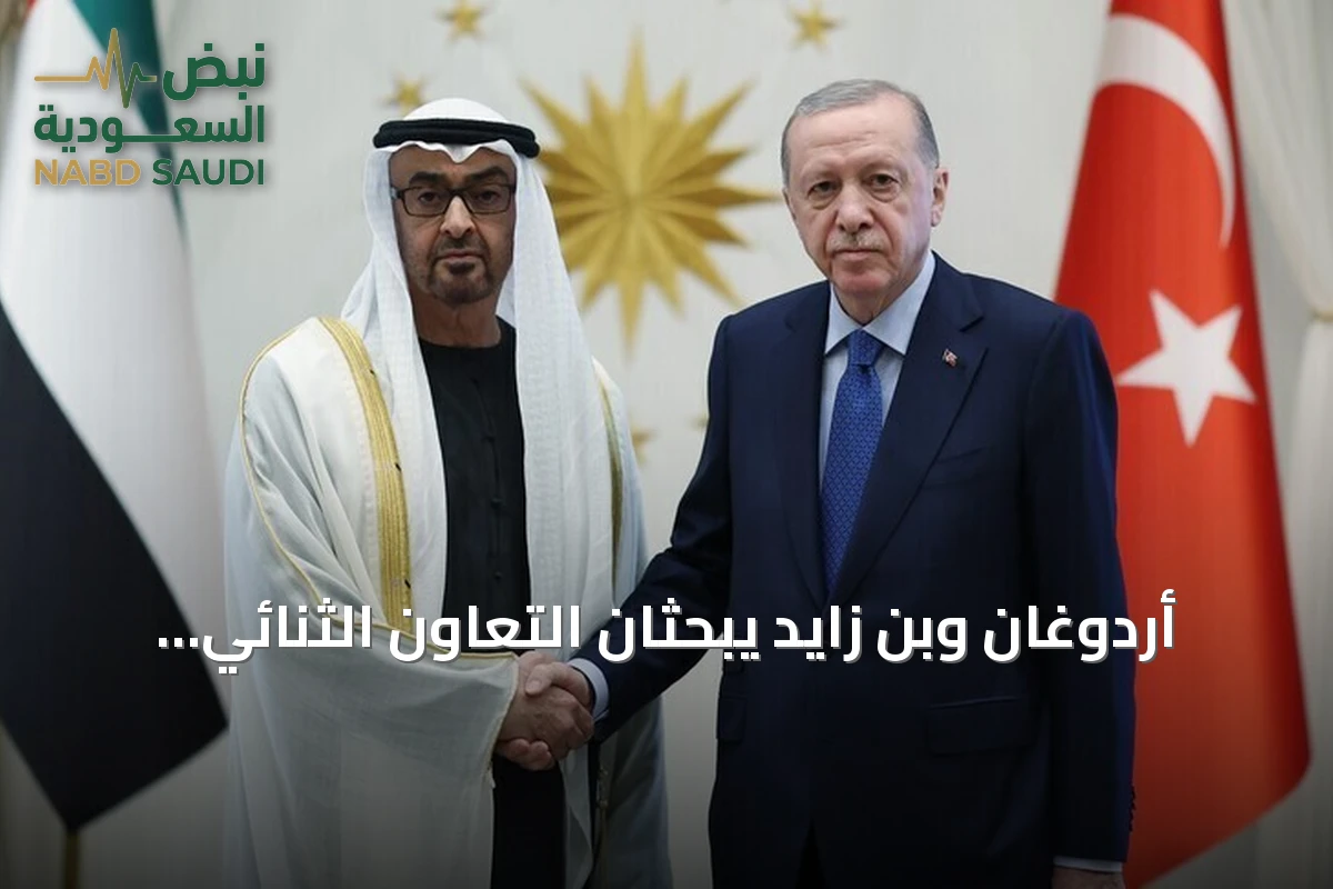 أردوغان وبن زايد يبحثان التعاون الثنائي والقضايا الإقليمية