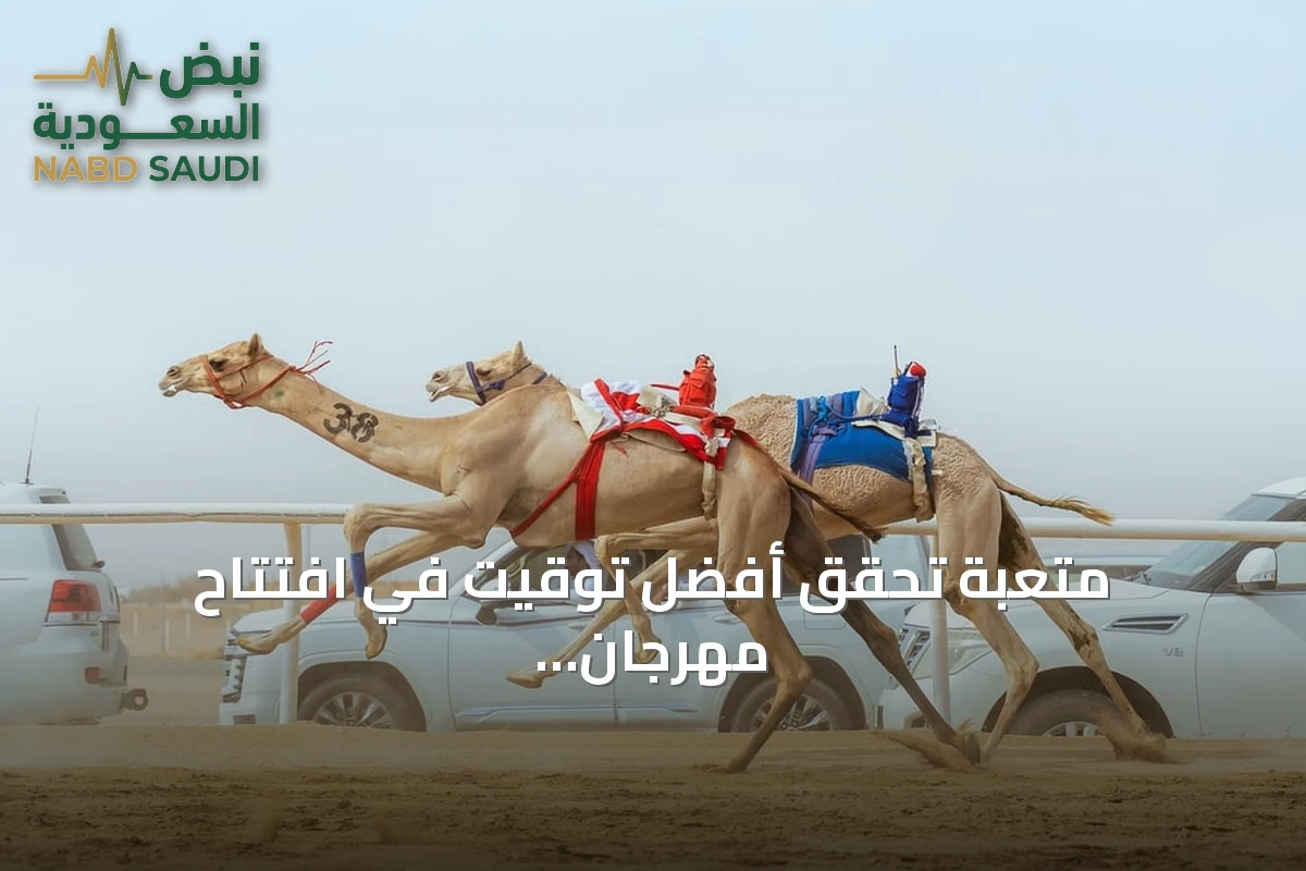 متعبة تحقق أفضل توقيت في افتتاح مهرجان ولي العهد للهجن بالطائف