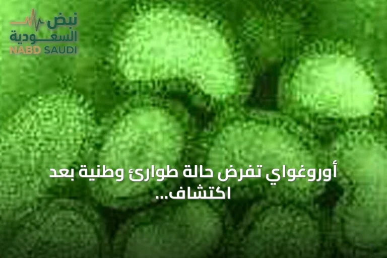 أوروغواي تفرض حالة طوارئ وطنية بعد اكتشاف إنفلونزا الطيور في دواجن منزلية