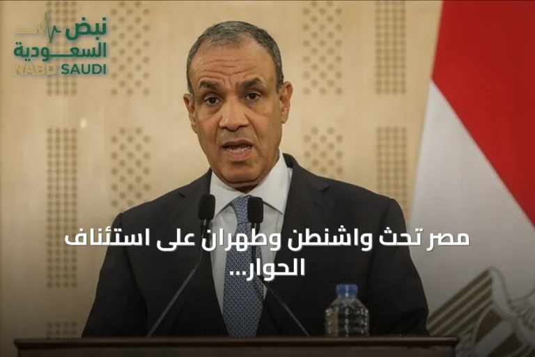 مصر تحث واشنطن وطهران على استئناف الحوار وتعتبر أمن الخليج جزءا من أمنها القومي