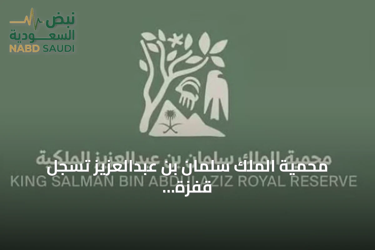 محمية الملك سلمان بن عبدالعزيز تسجل قفزة نوعية في أعداد النسور وإعادة تأهيل موائلها