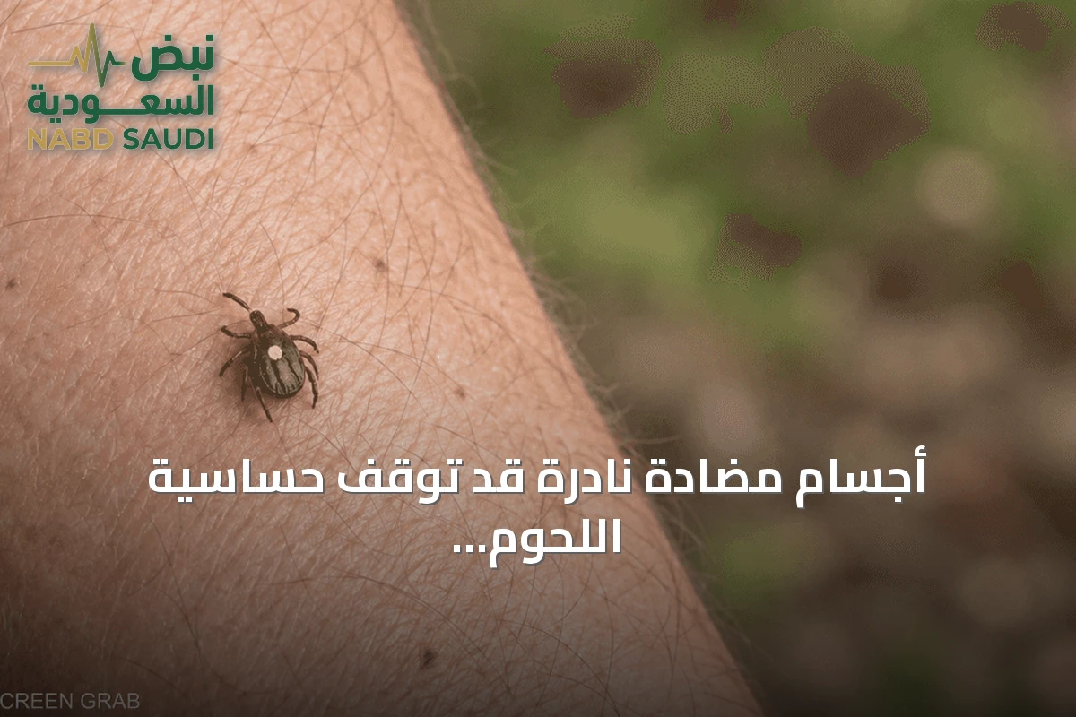 أجسام مضادة نادرة قد توقف حساسية اللحوم الحمراء الناتجة عن لدغات القراد