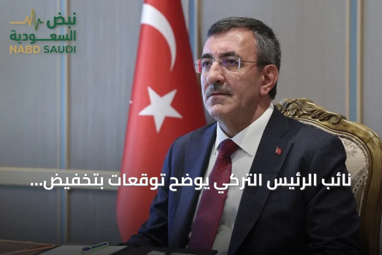 نائب الرئيس التركي يوضح توقعات بتخفيض التضخم وزيادة الدخل القومي بحلول 2026