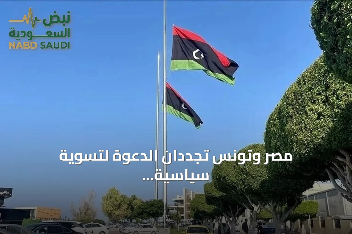 مصر وتونس تجددان الدعوة لتسوية سياسية ليبية شاملة وانتخابات متزامنة