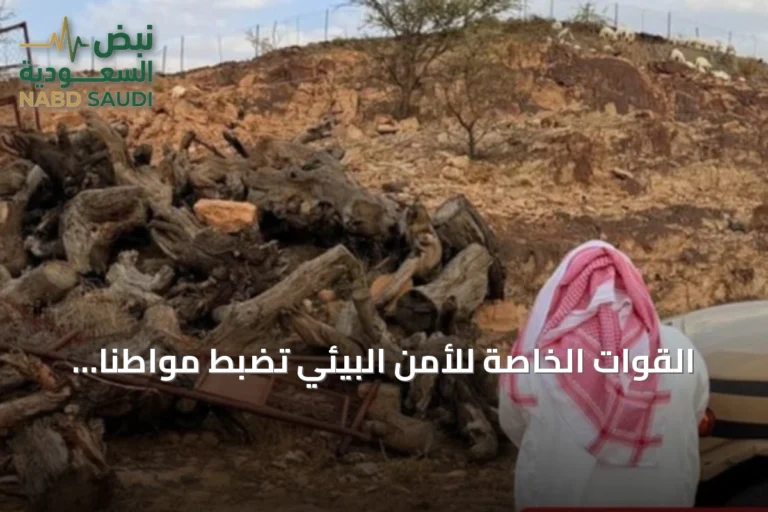القوات الخاصة للأمن البيئي تضبط مواطنًا بحوزته خمسة أمتار من الحطب المحلي في عسير