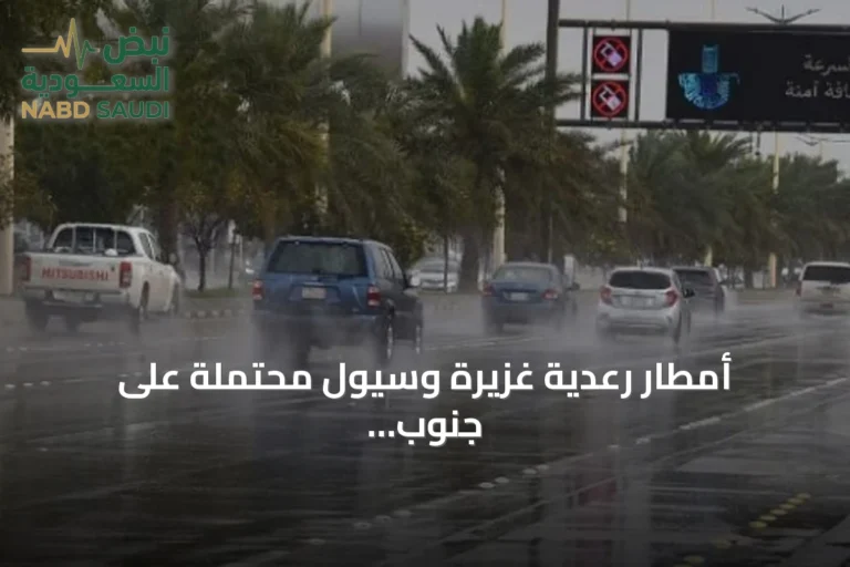 أمطار رعدية غزيرة وسيول محتملة على جنوب وغرب المملكة مع رياح نشطة وتقلبات بحرية