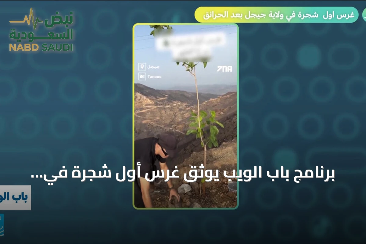 برنامج باب الويب يوثق غرس أول شجرة في ولاية جيجل الجزائرية بعد حرائق الغابات
