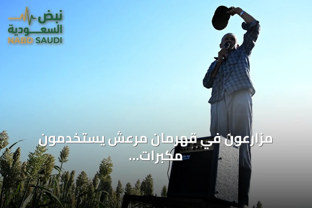 مزارعون في قهرمان مرعش يستخدمون مكبرات الصوت لحماية الدخن من العصافير