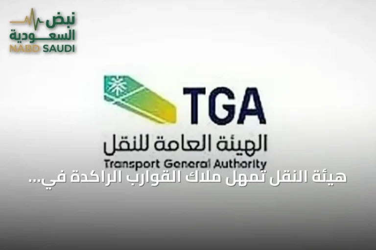 هيئة النقل تمهل ملاك القوارب الراكدة في جازان 30 يوماً لتصحيح أوضاعهم