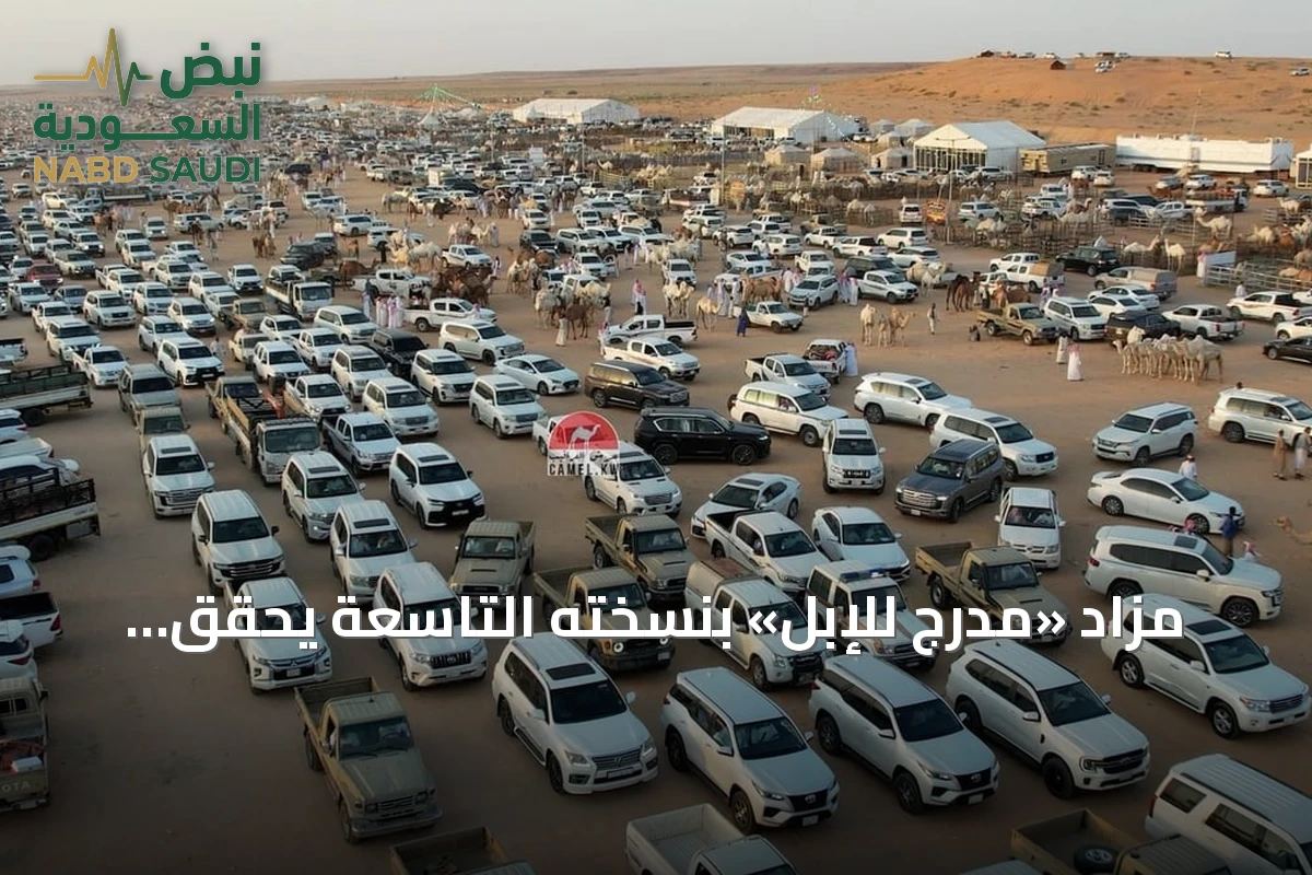 مزاد «مدرج للإبل» بنسخته التاسعة يحقق حراكاً اقتصادياً ملحوظاً في القصيم