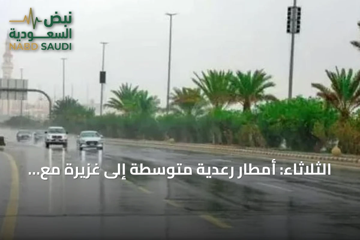 الثلاثاء: أمطار رعدية متوسطة إلى غزيرة مع زخات برد ورياح نشطة على عدة مناطق سعودية
