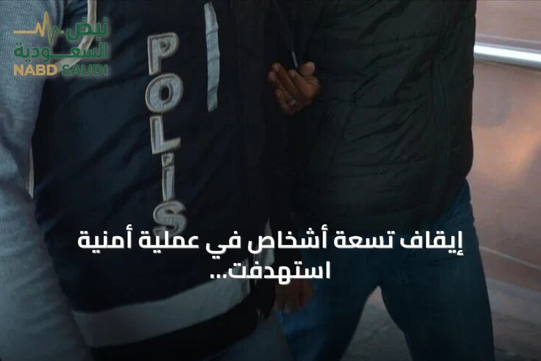 إيقاف تسعة أشخاص في عملية أمنية استهدفت داعش بإسطنبول