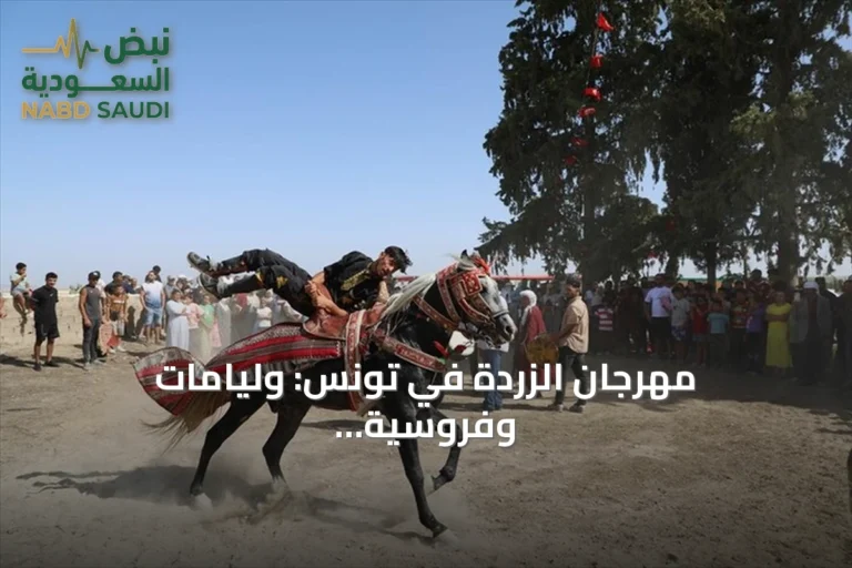 مهرجان الزردة في تونس: وليامات وفروسية بعد موسم الحصاد