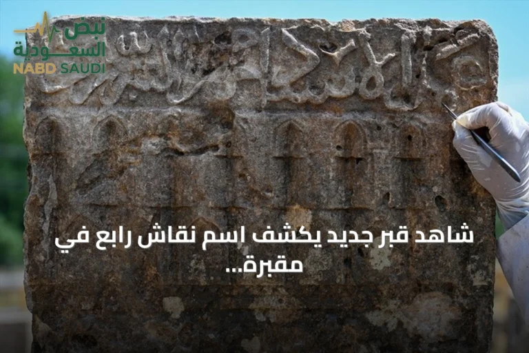 شاهد قبر جديد يكشف اسم نقاش رابع في مقبرة غواش السلجوقية بولاية وان