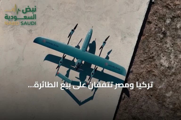 تركيا ومصر تتفقان على بيع الطائرة المسيّرة 'حمزة-1' بعد تطويرها مشترك