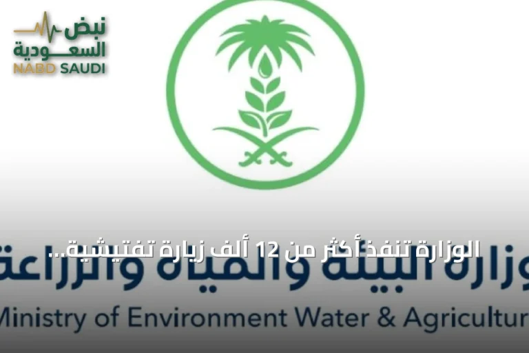 الوزارة تنفذ أكثر من 12 ألف زيارة تفتيشية لأسواق النفع العام في أغسطس 2026