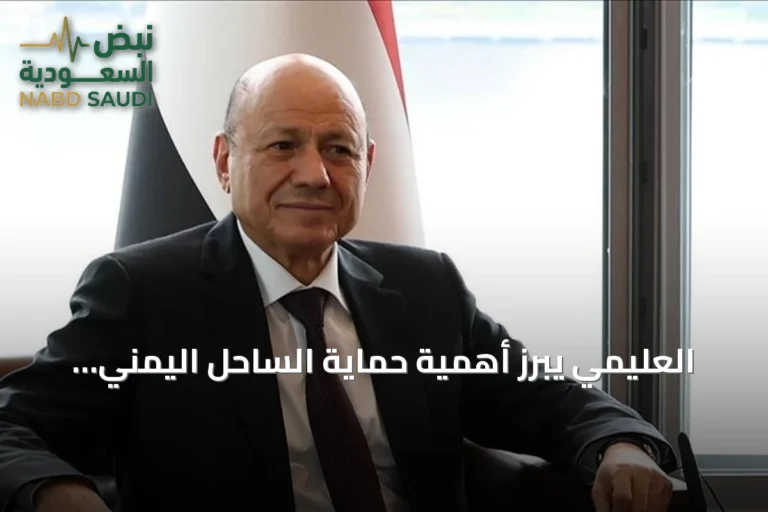 العليمي يبرز أهمية حماية الساحل اليمني كمصلحة مشتركة