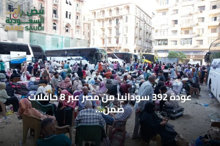 عودة 392 سودانيًا من مصر عبر 8 حافلات ضمن برنامج العودة الطوعية