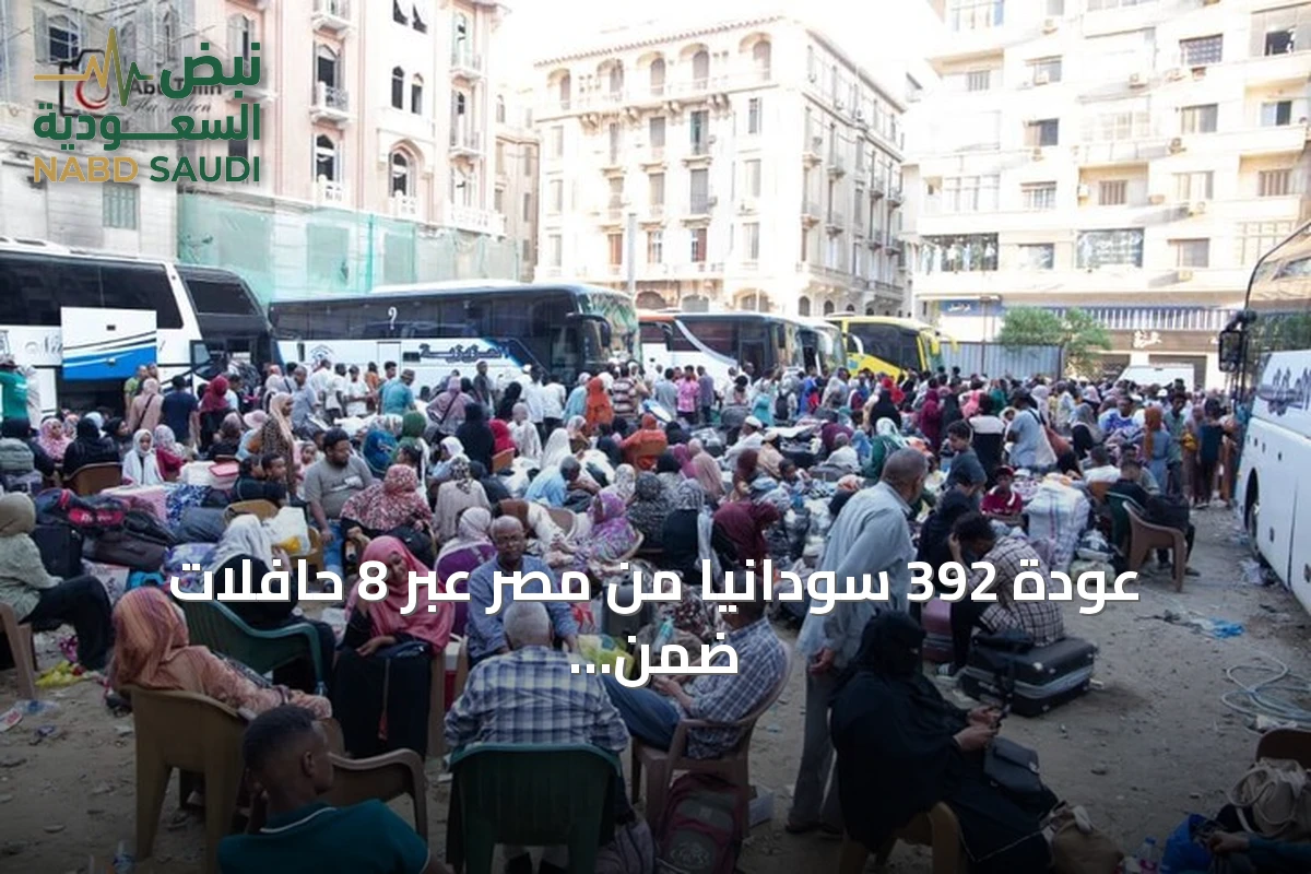 عودة 392 سودانيًا من مصر عبر 8 حافلات ضمن برنامج العودة الطوعية