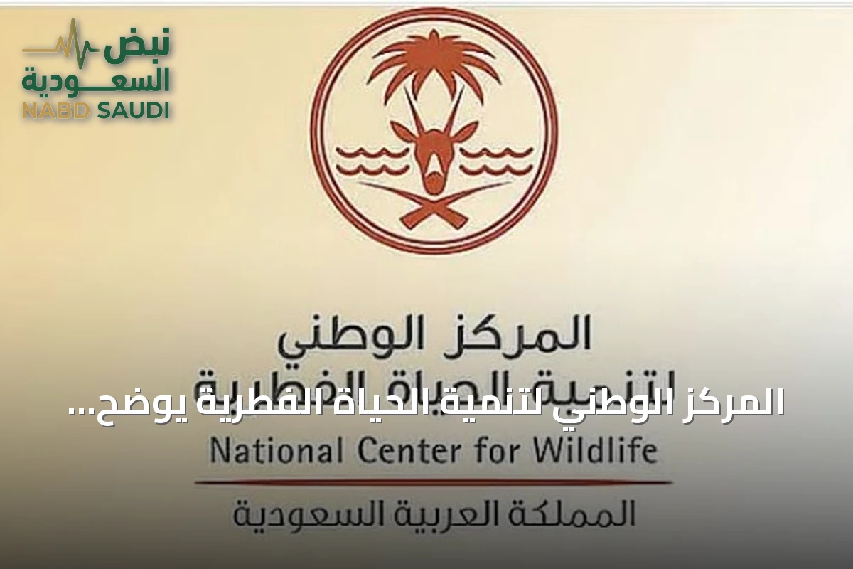 المركز الوطني لتنمية الحياة الفطرية يوضح قواعد توقيت الصيد ويؤكد على الالتزام بها