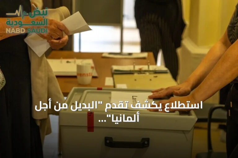 استطلاع يكشف تقدم "البديل من أجل ألمانيا" في انتخابات مكلنبورغ فوبومرن