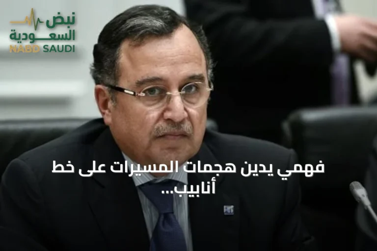 فهمي يدين هجمات المسيرات على خط أنابيب سعودي ويحذر من تهديد أمن الطاقة