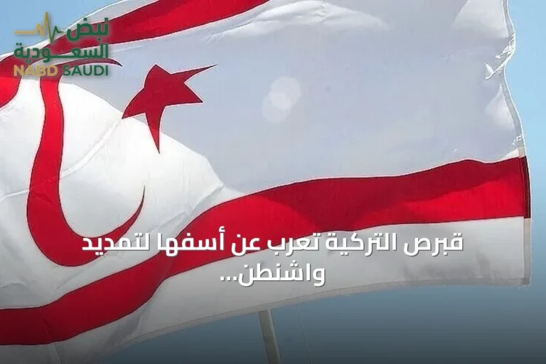 قبرص التركية تعرب عن أسفها لتمديد واشنطن رفع حظر السلاح عن جنوب قبرص