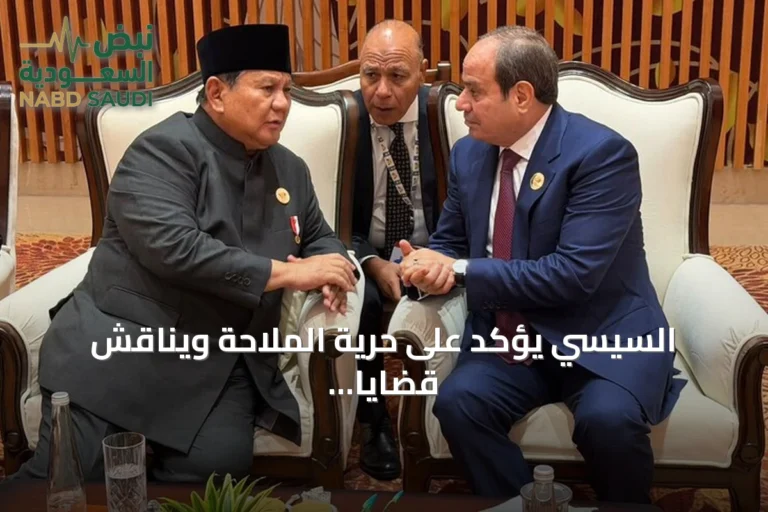 السيسي يؤكد على حرية الملاحة ويناقش قضايا إقليمية خلال قمة بريكس