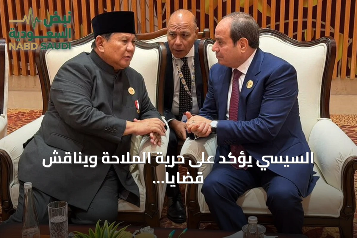 السيسي يؤكد على حرية الملاحة ويناقش قضايا إقليمية خلال قمة بريكس