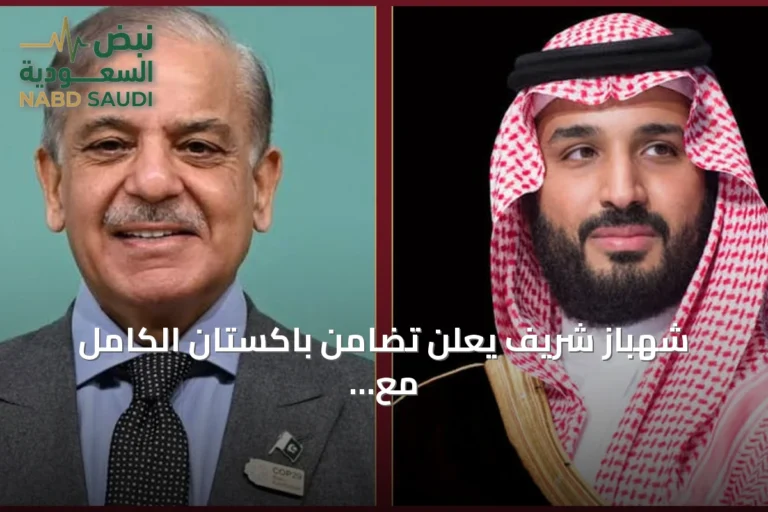 شهباز شريف يعلن تضامن باكستان الكامل مع السعودية ويحذر من تداعيات هجمات الحوثي على أمن الطاقة