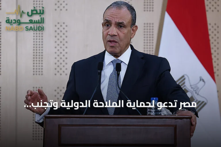 مصر تدعو لحماية الملاحة الدولية وتجنب استهداف دول الخليج خلال اجتماع بريكس