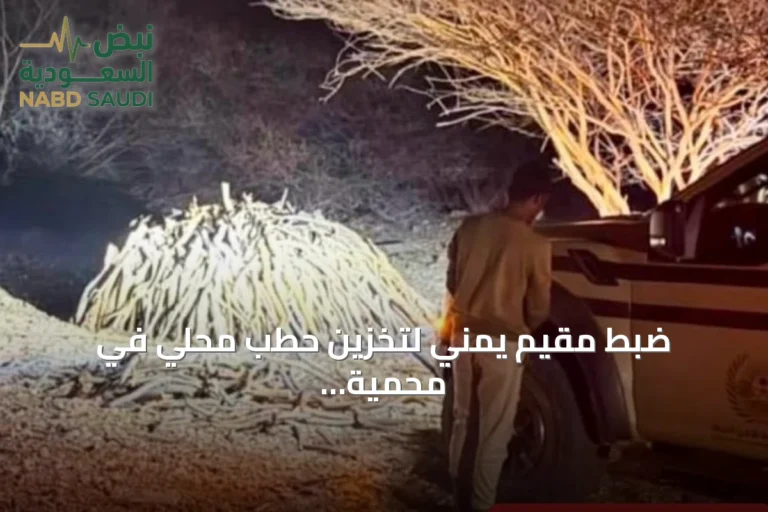 ضبط مقيم يمني لتخزين حطب محلي في محمية الإمام فيصل بن تركي