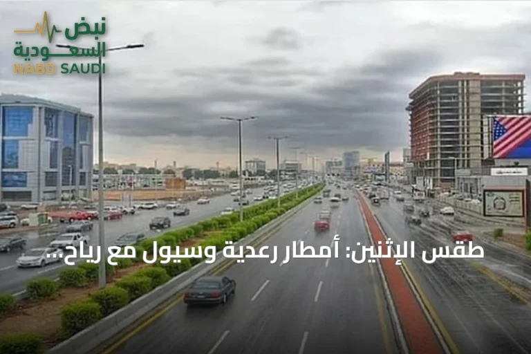 طقس الإثنين: أمطار رعدية وسيول مع رياح نشطة على عدة مناطق سعودية