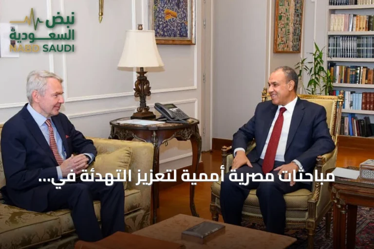 مباحثات مصرية أممية لتعزيز التهدئة في السودان وتسهيل وصول المساعدات