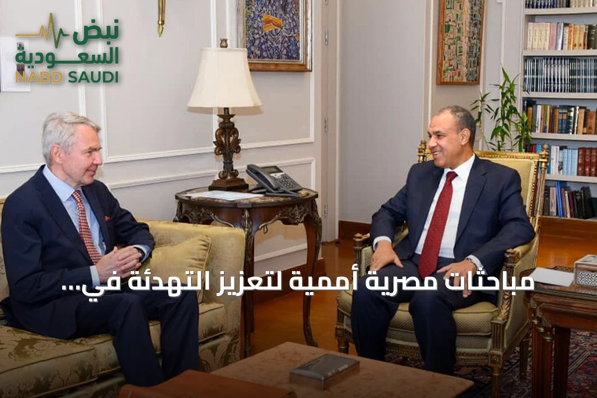 مباحثات مصرية أممية لتعزيز التهدئة في السودان وتسهيل وصول المساعدات