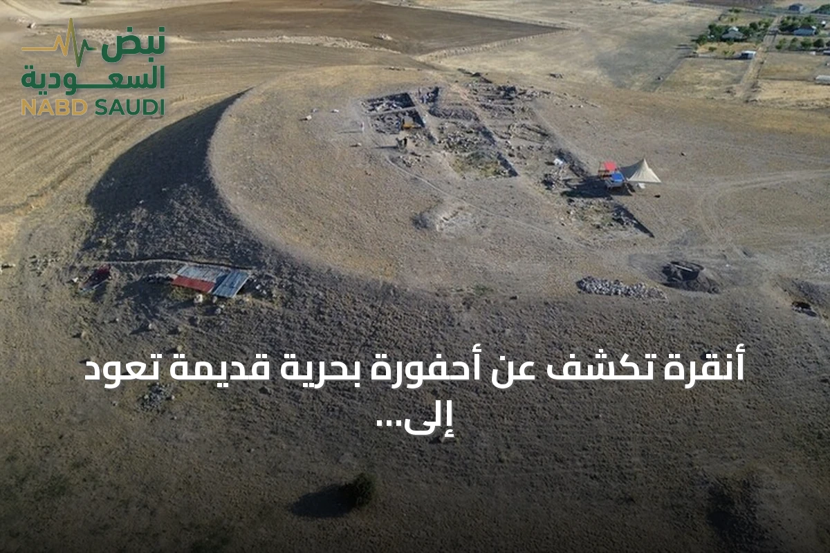 أنقرة تكشف عن أحفورة بحرية قديمة تعود إلى 66 مليون سنة