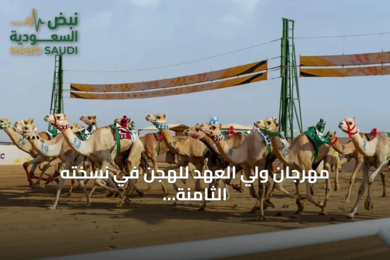 مهرجان ولي العهد للهجن في نسخته الثامنة: إرث يمتد ومستقبل يُصنع