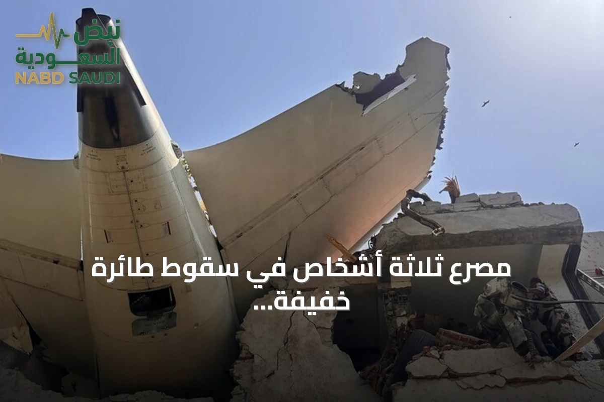 مصرع ثلاثة أشخاص في سقوط طائرة خفيفة بألمانيا