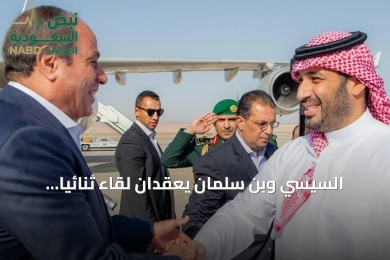 السيسي وبن سلمان يعقدان لقاءً ثنائياً لتعزيز الشراكة ومتابعة تطورات المنطقة