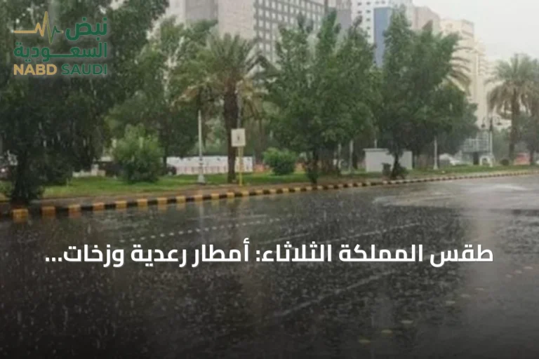 طقس المملكة الثلاثاء: أمطار رعدية وزخات برد مع رياح نشطة