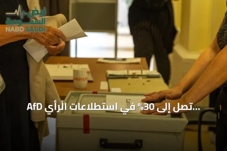 AfD تصل إلى 30% في استطلاعات الرأي الألمانية وتحقق فوزاً في ساكسونيا-أنهالت