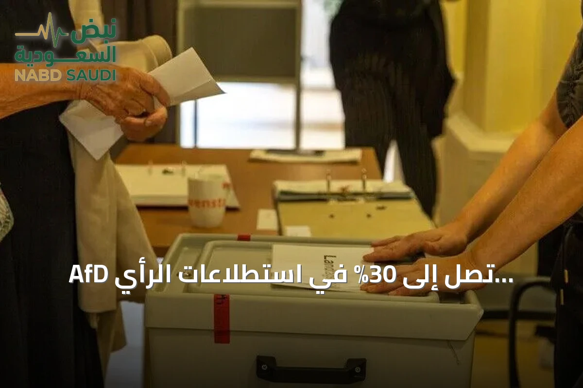AfD تصل إلى 30% في استطلاعات الرأي الألمانية وتحقق فوزاً في ساكسونيا-أنهالت